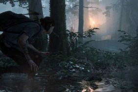 The Last of Us Part 2 developer Naughty Dog makes very pretty games