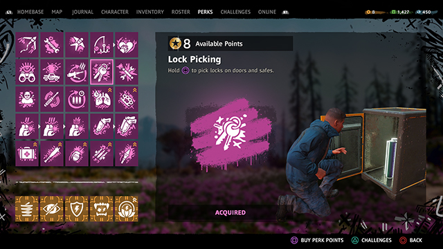 Far Cry new dawn safes