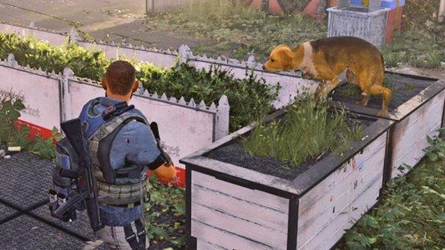 The Division 2 dogs