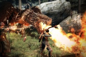 Dragon's Dogma anime