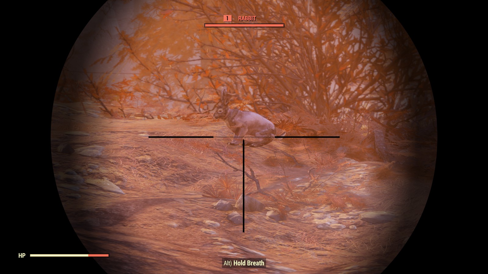 Fallout 76 rabbit location hoppy