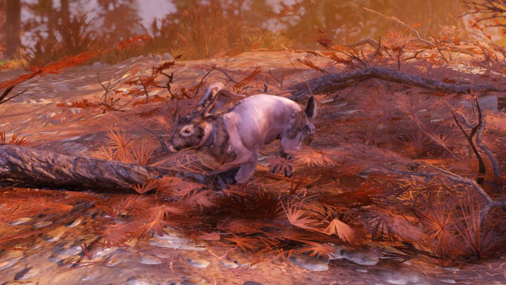 Fallout 76 rabbit location