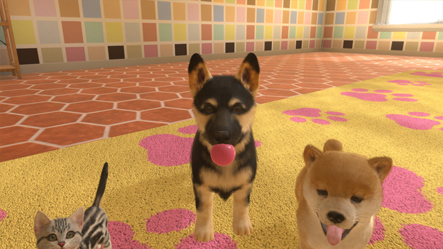 Little Friends: Dogs & Cats is our Nintendogs substitute for Switch –  Destructoid