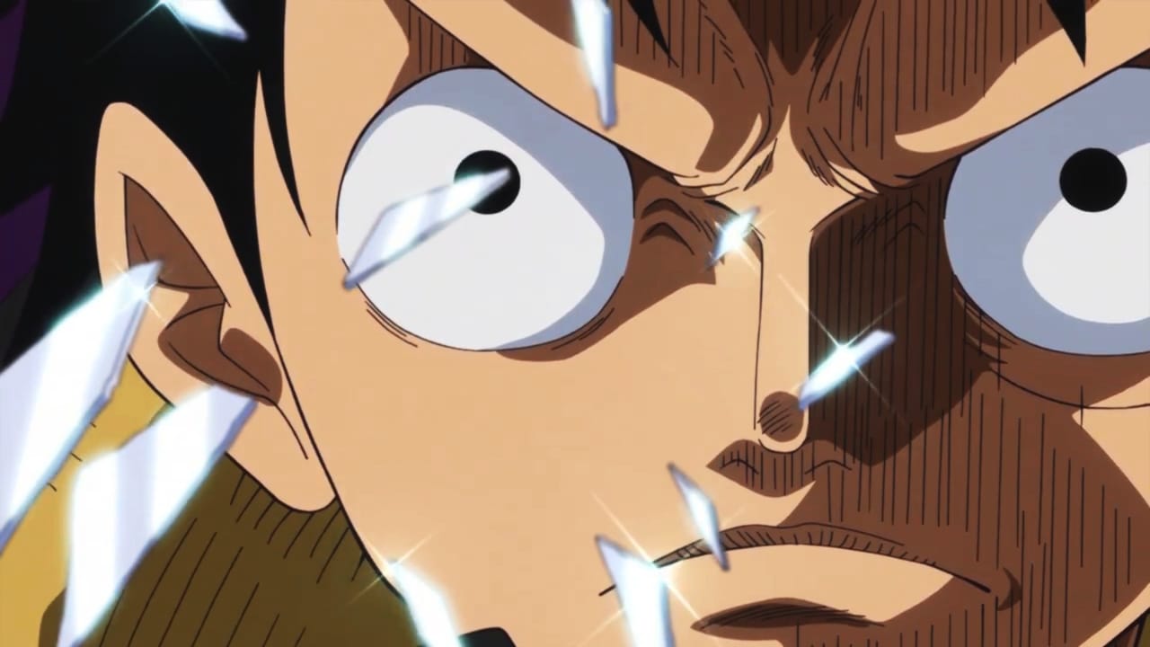 one piece episode 883