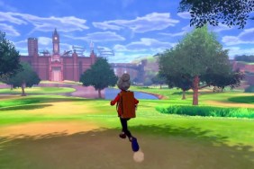 Pokemon Sword and Shield Wild Area