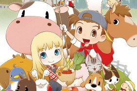 Harvest Moon: Friends of Mineral Town remake