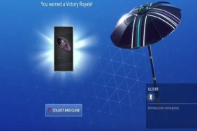 Fortnite Season 10 Victory Umbrella