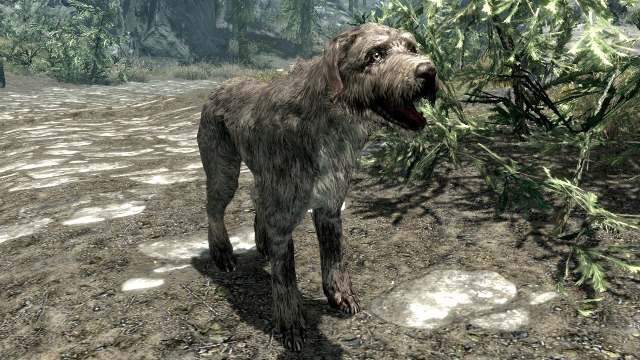 best video game dogs barbas