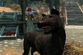 Skyrim mod immortalizes creator's beloved dog who passed away