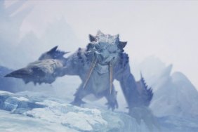 Monster Hunter World Iceborne Character Booster HR 16