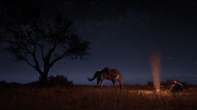 The Red Dead Redemption 2 PC gameplay trailer is the prettiest thing you'll  see all week