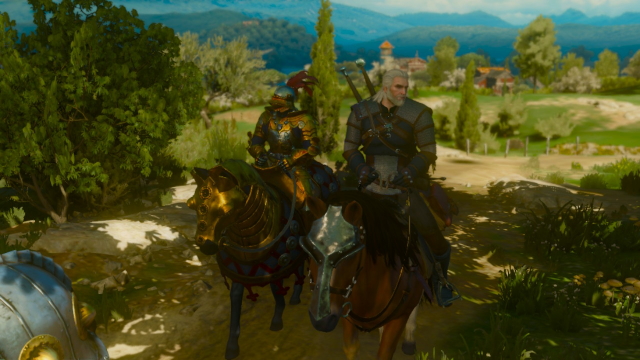 The Witcher 3 Switch motion blur
