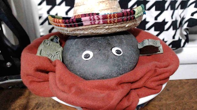 This 'Pet Rock' has become a Twitch Affiliate in 7 days sombrero