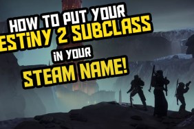 destiny 2 subclass steam name