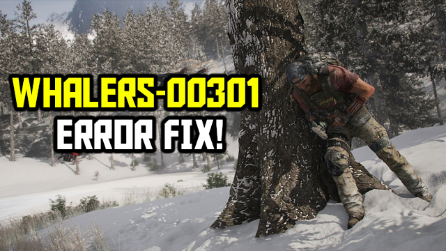whalers 00301 error fix ghost recon breakpoint