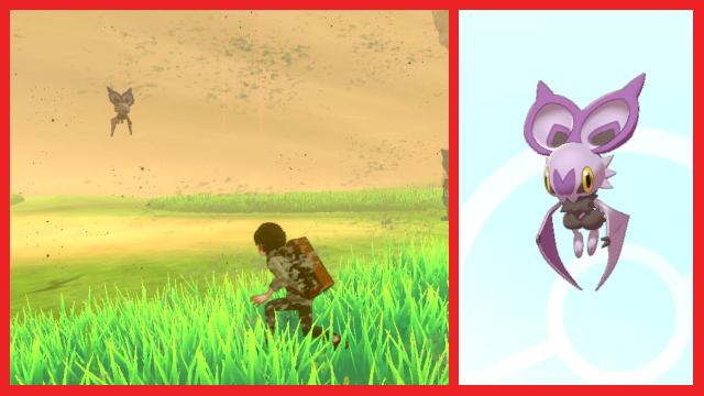 How to catch Noibat in the Pokemon Sword and Shield Wild Area