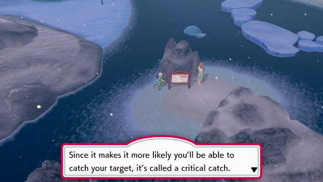 Pokemon Sword and Shield Critical Catch
