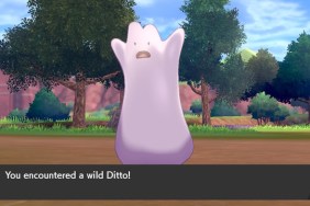 Pokemon Sword and Shield Ditto location