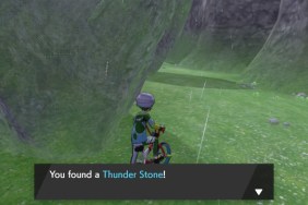 Pokemon Sword and Shield Evolution Stones location