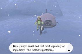 Pokemon Sword and Shield Gigantamix ingredient location