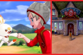 Pokemon Sword and Shield shiny hunting _ How to increase the chance of shinies appearing