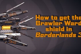 Borderlands 3 Brawler Ward shield