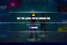 Fortnite Not the Llama You're Looking For error