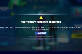 Fortnite That Wasn't Supposed to Happen error