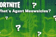Fortnite Agent Meowsicles