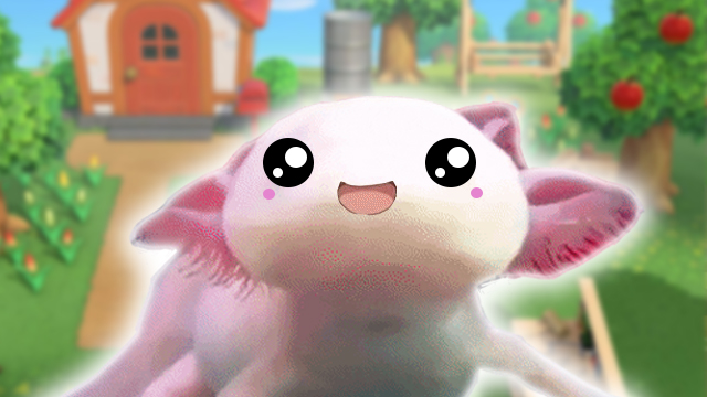 animal crossing new horizons axolotl