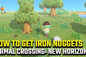 ANIMAL CROSSING NEW HORIZONS IRON NUGGETS