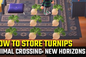 ANIMAL CROSSING NEW HORIZONS TURNIP STORAGE