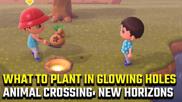 Animal Crossing: New Horizons Golden Hole