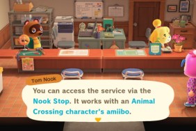 Animal Crossing: New Horizons Invite amiibo Camper
