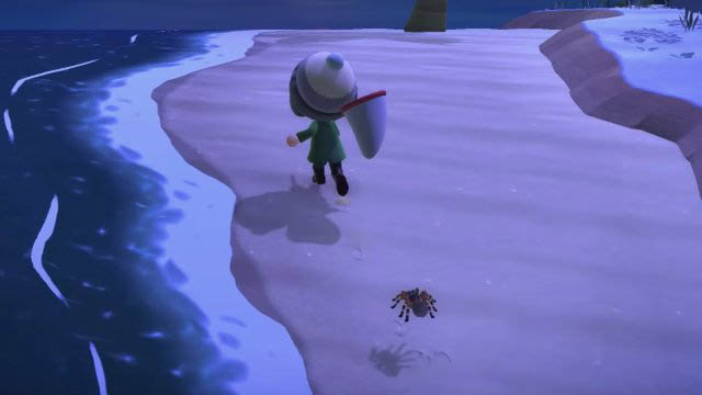 Animal Crossing: New Horizons Tarantula hours