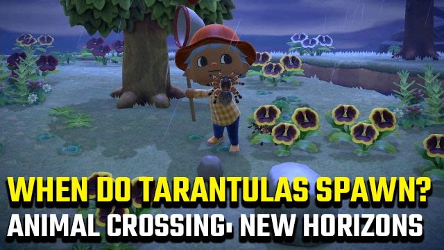 Animal Crossing: New Horizons Tarantula hours