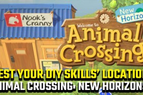 Animal Crossing New Horizons Test Your DIY Skills Location
