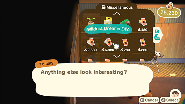 Animal Crossing: New Horizons 'Wildest Dreams DIY' Location and Recipes