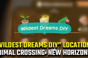 Animal Crossing New Horizons Wildest Dreams DIY Location