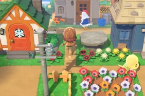 Animal Crossing: New Horizons multiplayer