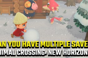 Animal Crossing: New Horizons multiple saves