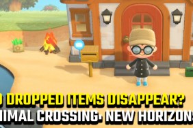 Animal Crossing: New Horizons Dropped Items