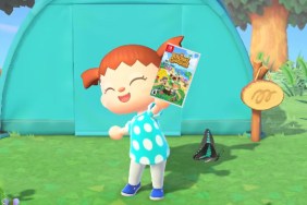 Fake Animal Crossing giveaways