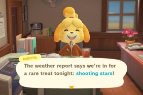 How to wish on a star in Animal Crossing: New Horizons