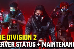 THE DIVISION 2 server status maintenance