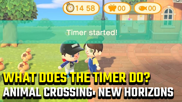 What does the timer do in Animal Crossing: New Horizons?