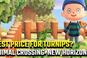 What is the best price for turnips in Animal Crossing: New Horizons?