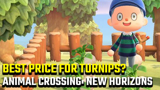 What is the best price for turnips in Animal Crossing: New Horizons?