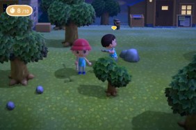 do rocks come back in Animal Crossing: New Horizons