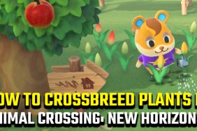 how to crossbreed plants in Animal Crossing: New Horizons